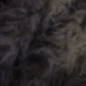 Meet your Posher, Miranda